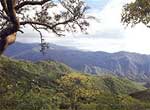 Sierra de La Laguna